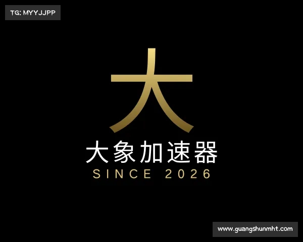 发现大象加速器